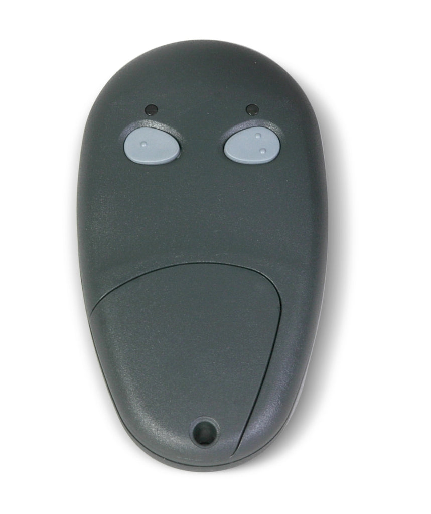 Sentry Wireless 2 Button Remote
